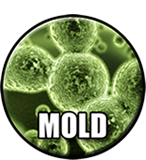 Visual mold inspection symbol