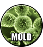 Visual mold inspection symbol